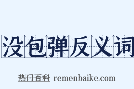 没包弹反义词是什么意思的图片